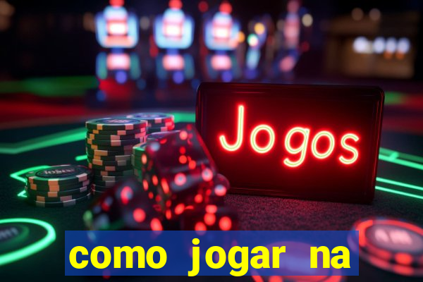 como jogar na lotinha do jogo do bicho